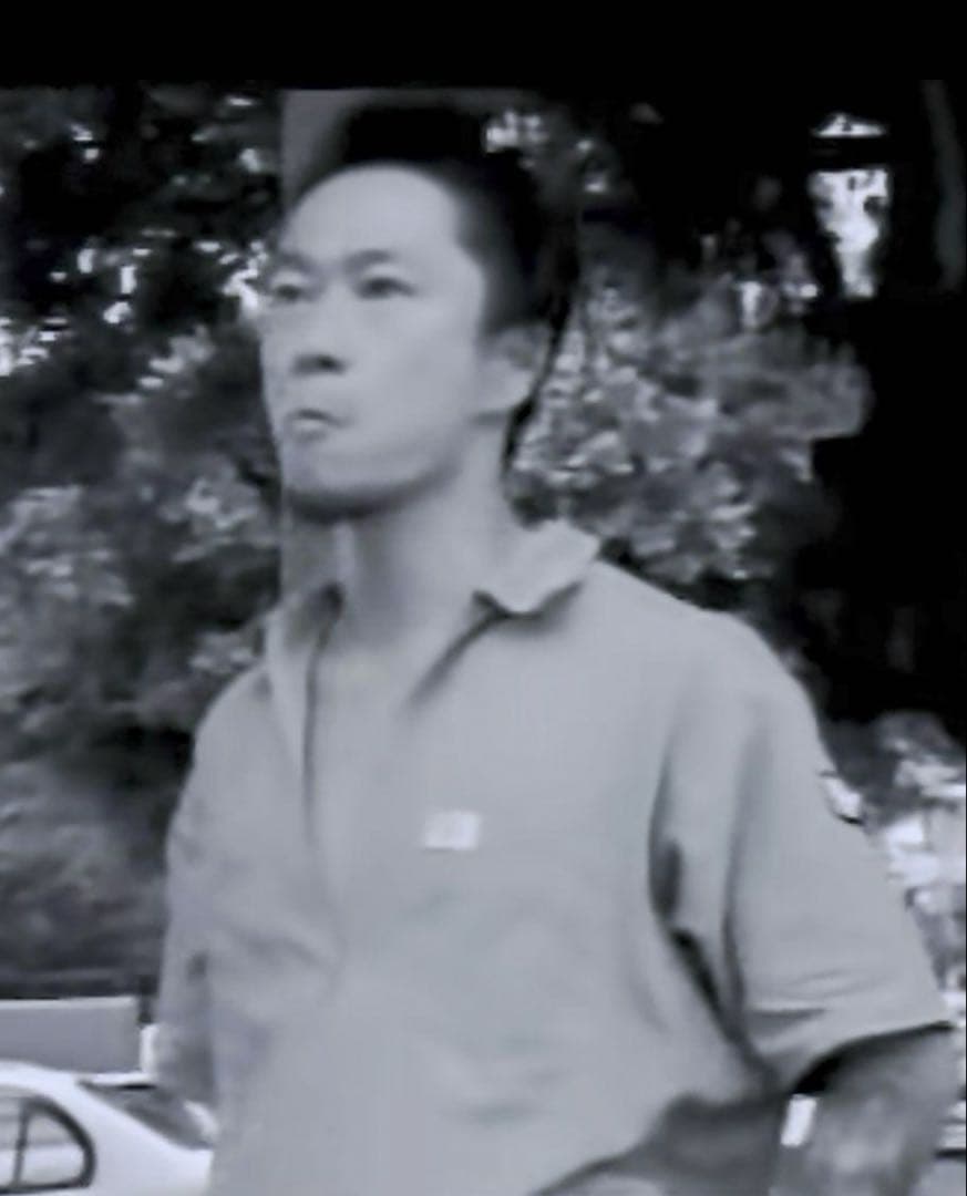 ブランキージェットシティ ハーフジップシャツ skunk