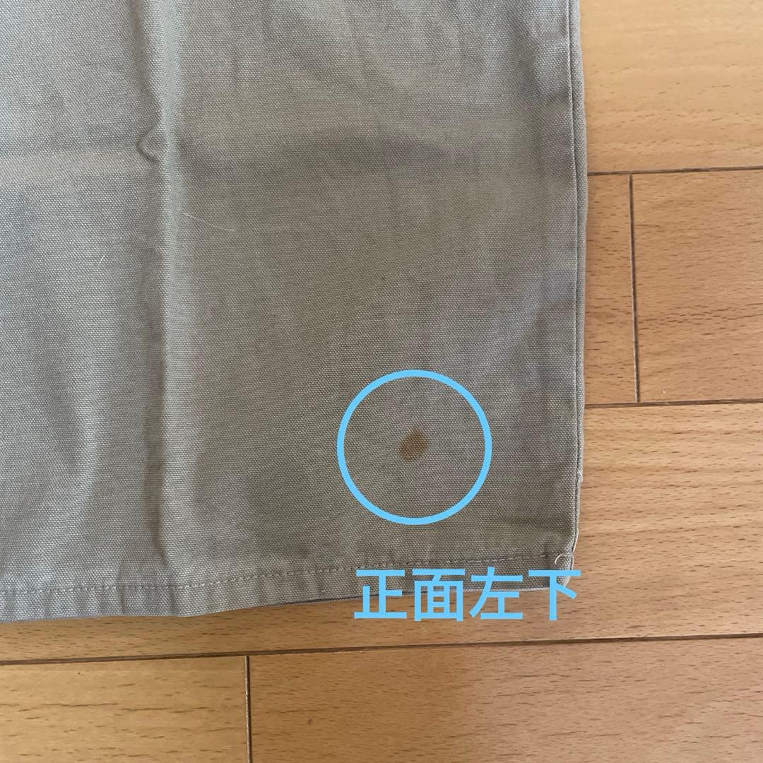 ブランキージェットシティ ハーフジップシャツ skunk