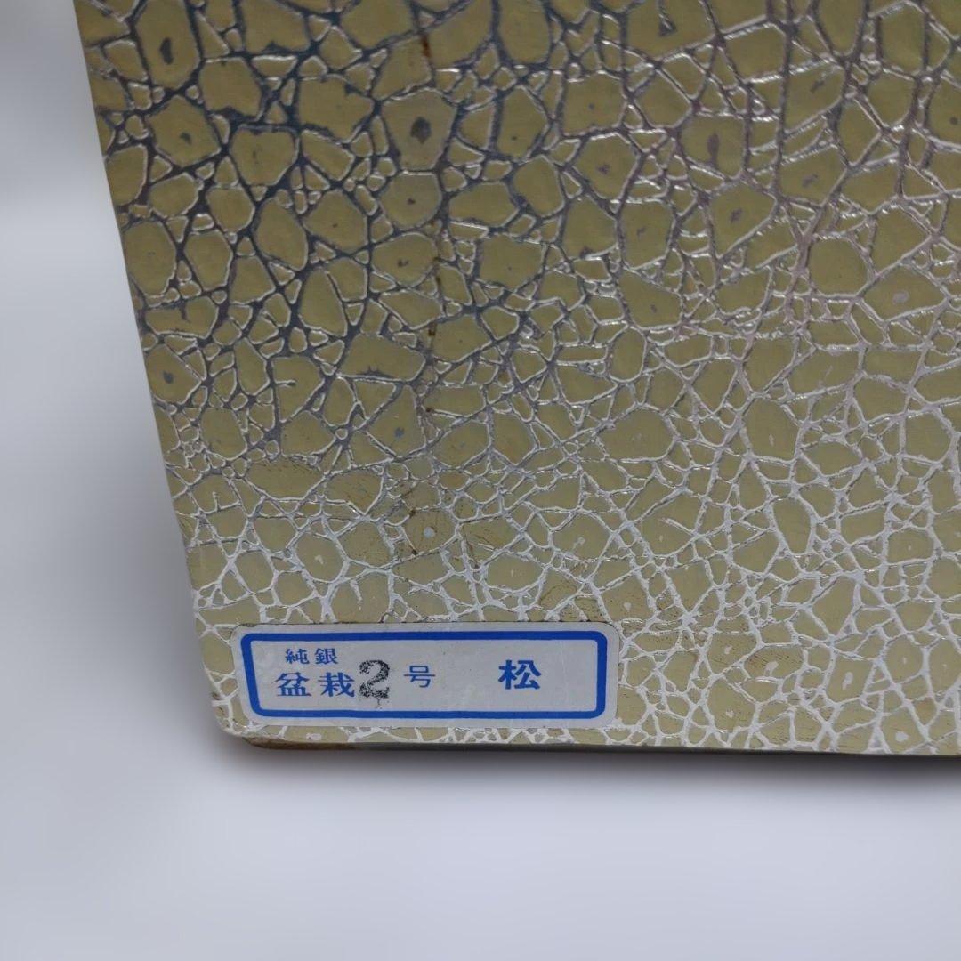 純銀製 光則作 盆栽 2号「松」ガラスケース・紙箱付き