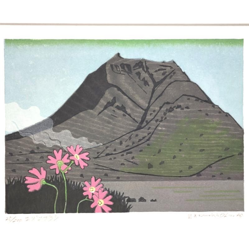 ☆ 大本靖 ☆「 エゾコザクラ 」木版画　太子サイズ　25/200　未使用！