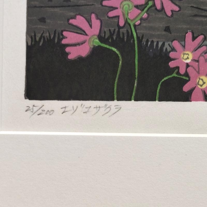 ☆ 大本靖 ☆「 エゾコザクラ 」木版画　太子サイズ　25/200　未使用！