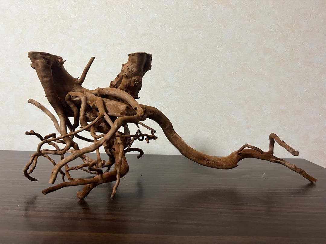 71015 ブランチウッド　流木　アクアリウム　沈水確認済