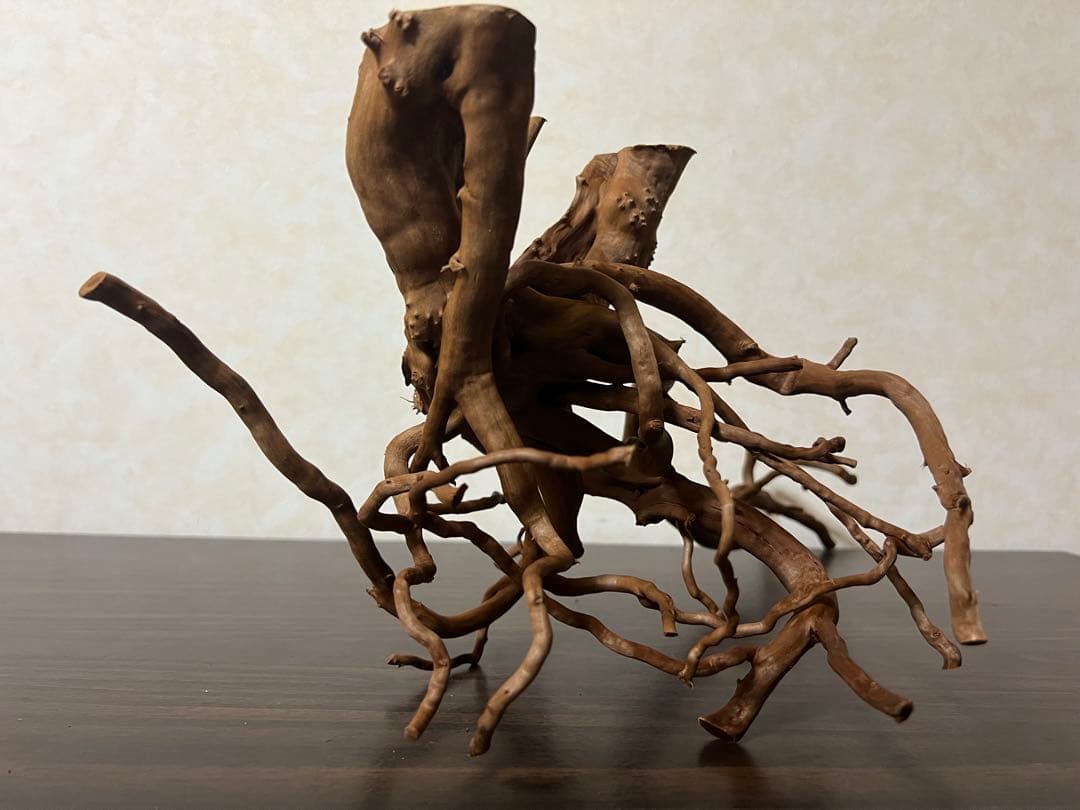 71015 ブランチウッド　流木　アクアリウム　沈水確認済