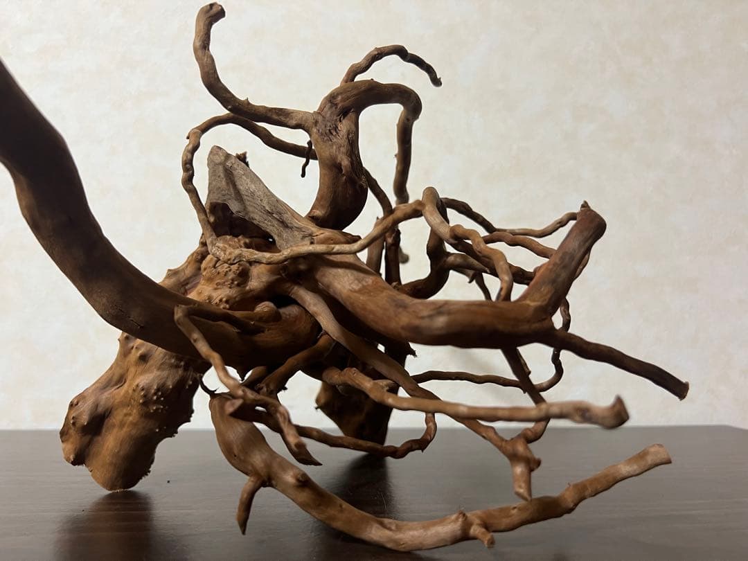 71015 ブランチウッド　流木　アクアリウム　沈水確認済