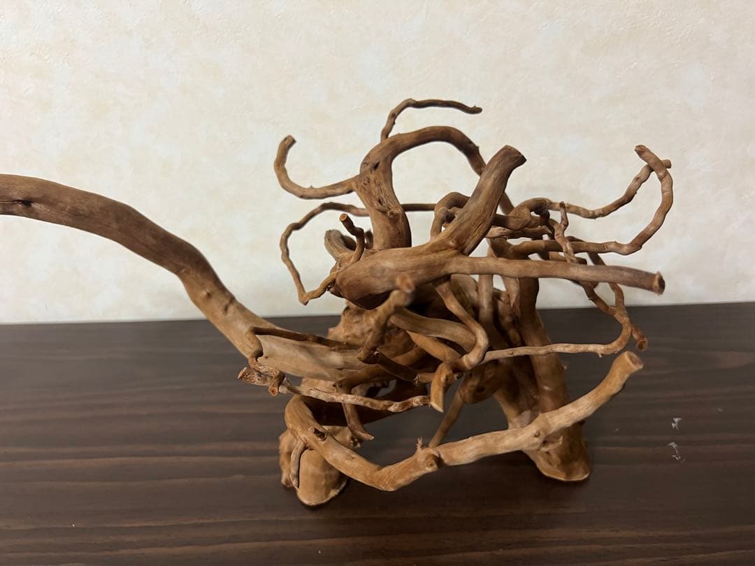 71015 ブランチウッド　流木　アクアリウム　沈水確認済