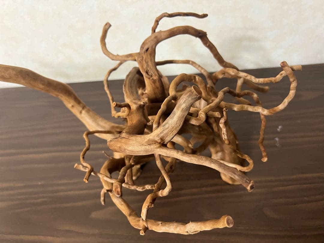 71015 ブランチウッド　流木　アクアリウム　沈水確認済