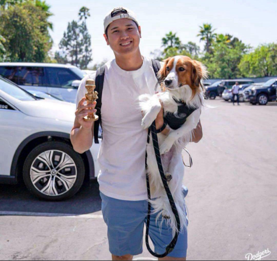 大谷翔平　デコピン　ゴールド　ボブルヘッド　来場者限定　スタジアム配布　新品