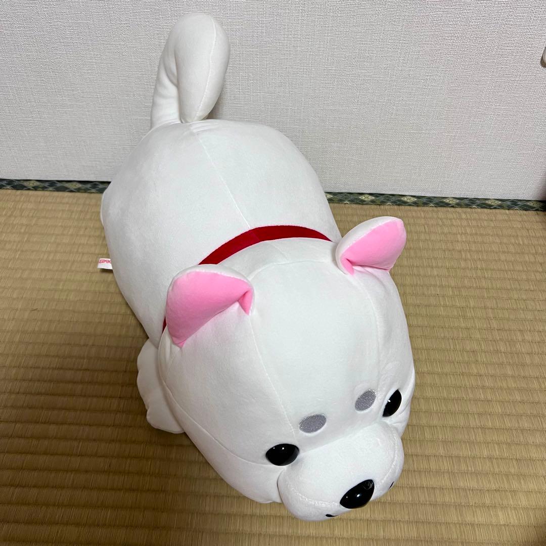 ハッピーまめしば 白柴ぬいぐるみ 2等