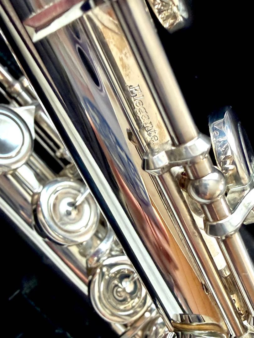 T*0様 Pearlフルート　エレガンテ+Ag970Vivo頭部管