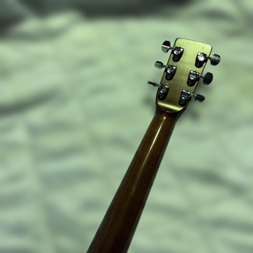 Morris アコースティックギター　w-25 ソフトケース付き