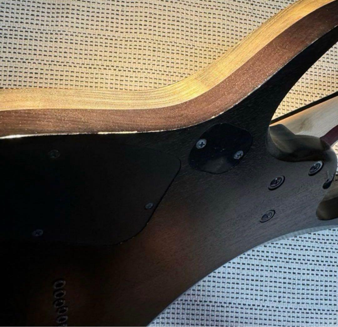 Ibanez rgdim6fm fishman ピックアップ