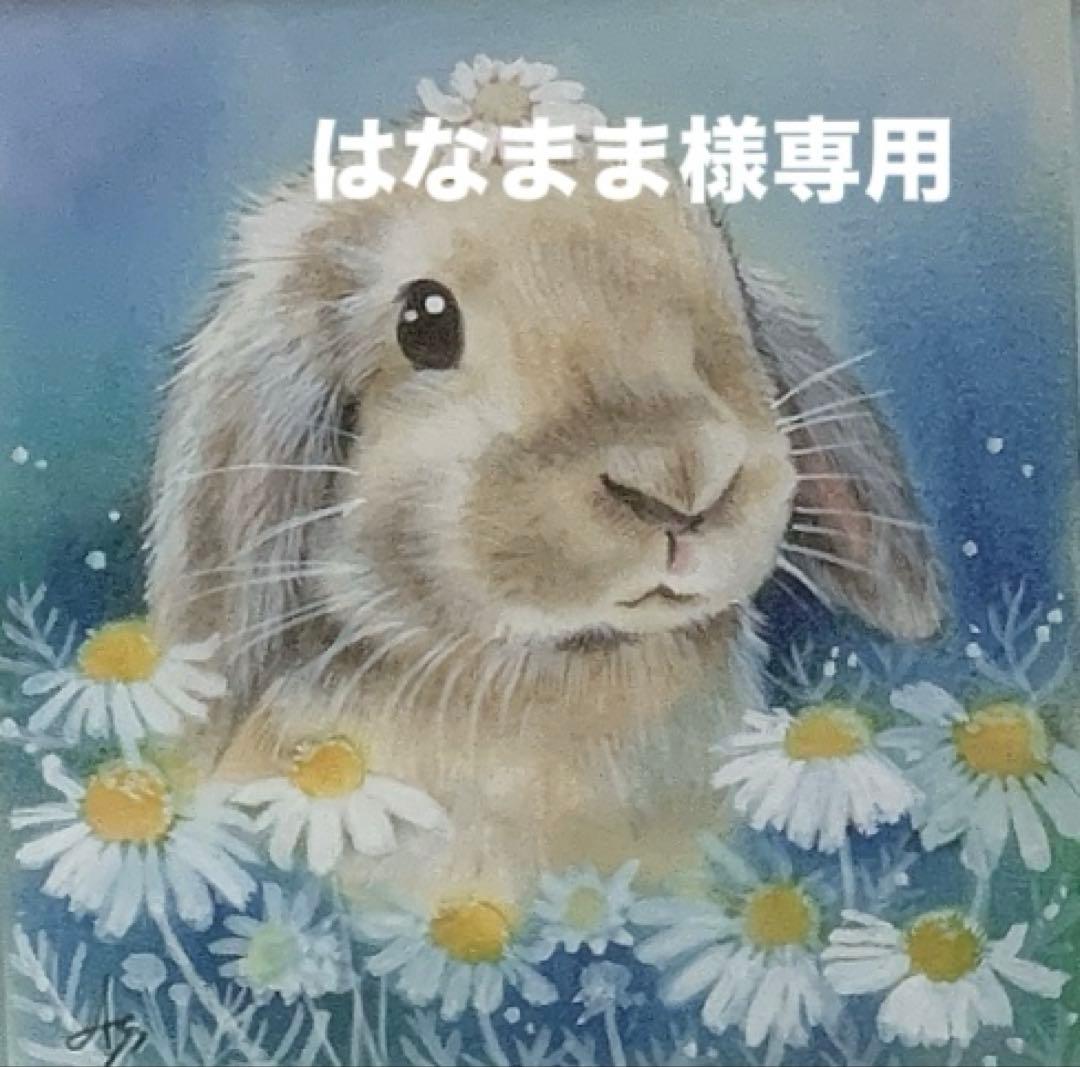 《はなまま》チンチラセレクションプロ600g×10袋＆試食品プレゼント！