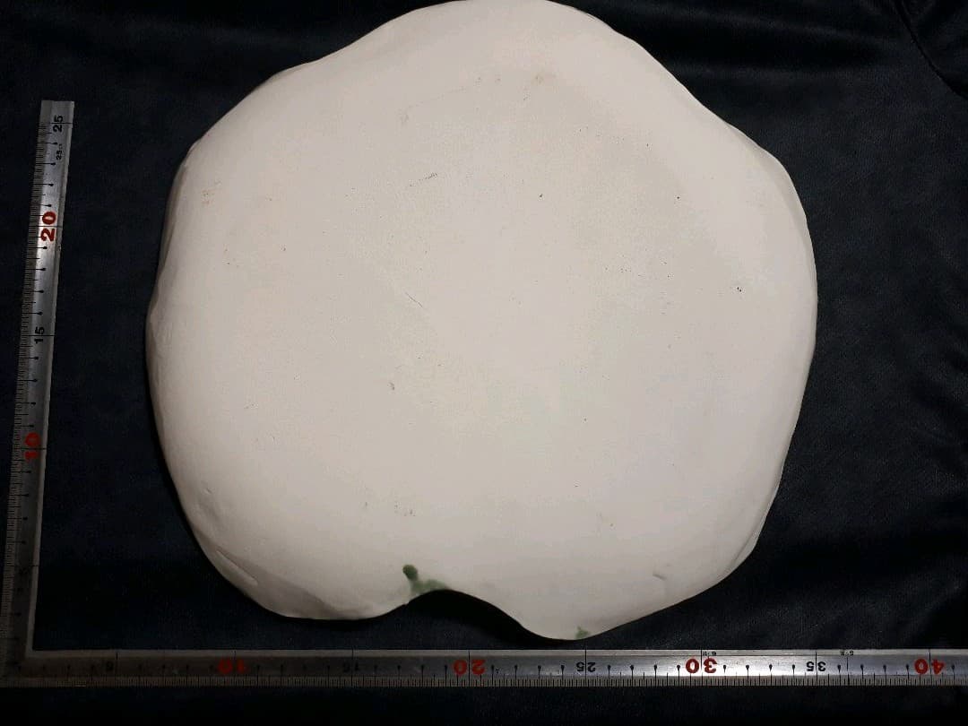 値下げ‼️陶楽窯　桑原リエ作　白地緑釉葉脈皿