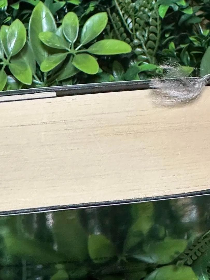 (初版)ポケモン・ストーリー 畠山けんじ 久保雅一 日経BP社