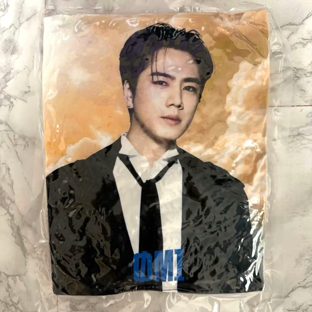 登坂広臣 ØMI レア クッション