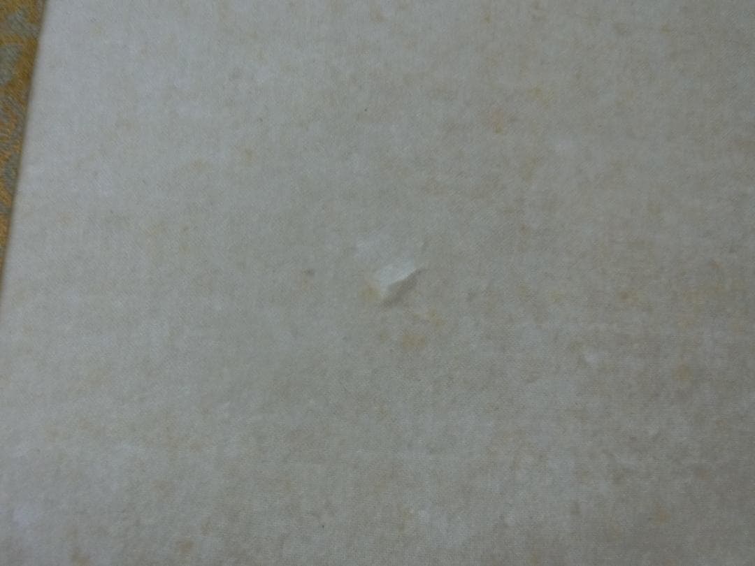 桂堂画 鶴 日本画 掛け軸