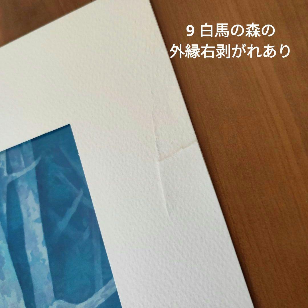 東山魁夷　作品集　白馬幻想