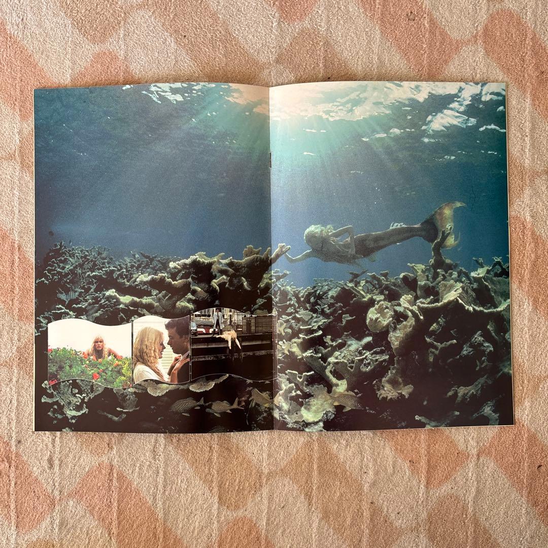 館名入り映画パンフレット 『スプラッシュ』（日比谷映画劇場 FAREWELL）