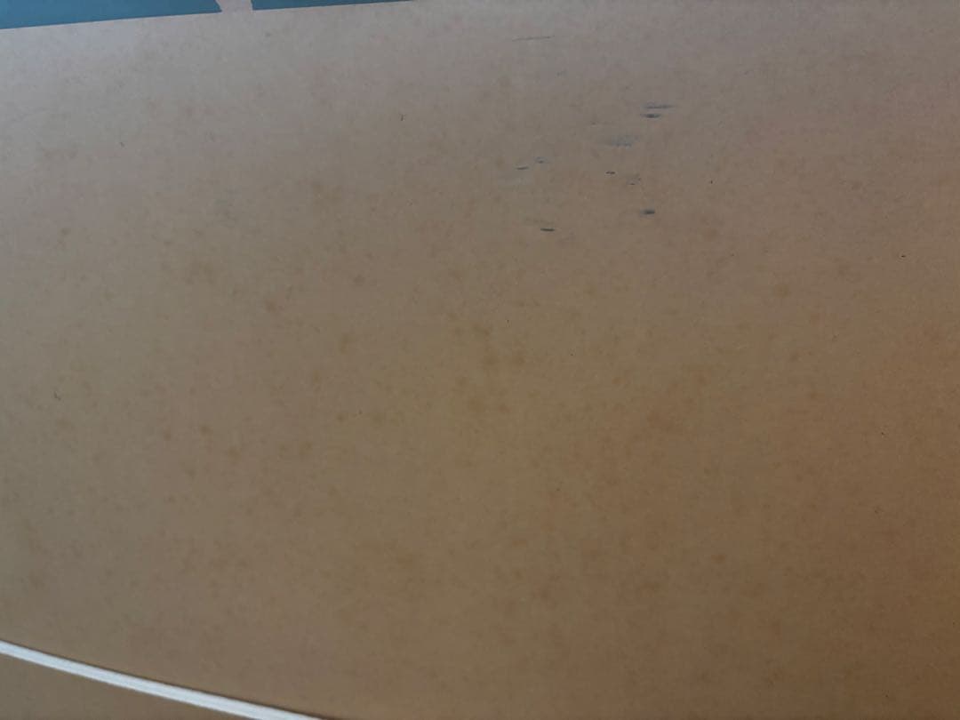 ラッセン エンチャンテッドエンカウンター(L) ディズニー 直筆サイン入り