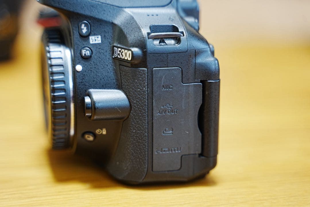 Nikon D5300 ダブルズームキット+α デジタル一眼レフカメラ