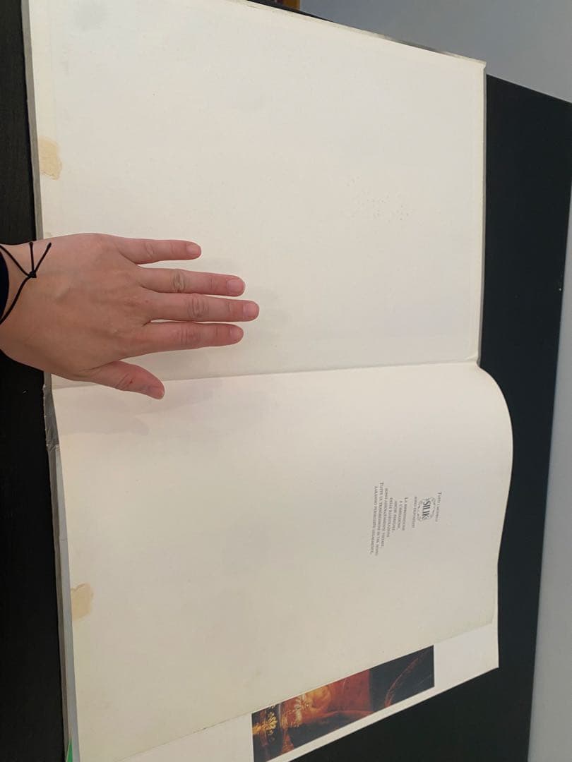 シリック　SILIK 洋書