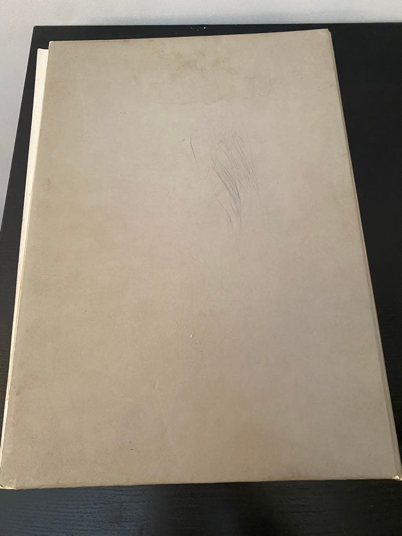 シリック　SILIK 洋書