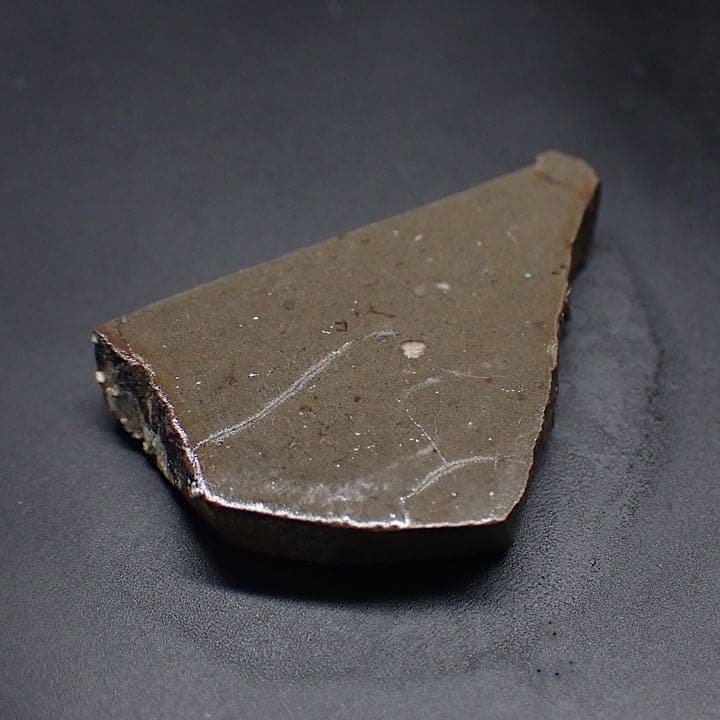 【カナダ/a産】アンモライト(プラセンチセラス)