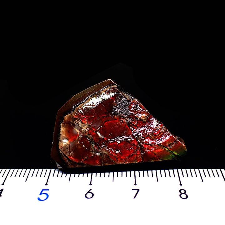 【カナダ/a産】アンモライト(プラセンチセラス)