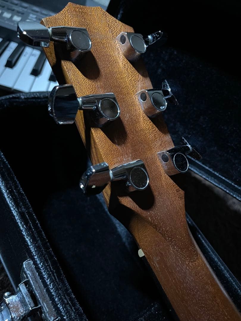 Taylor 214　ハードケース付き