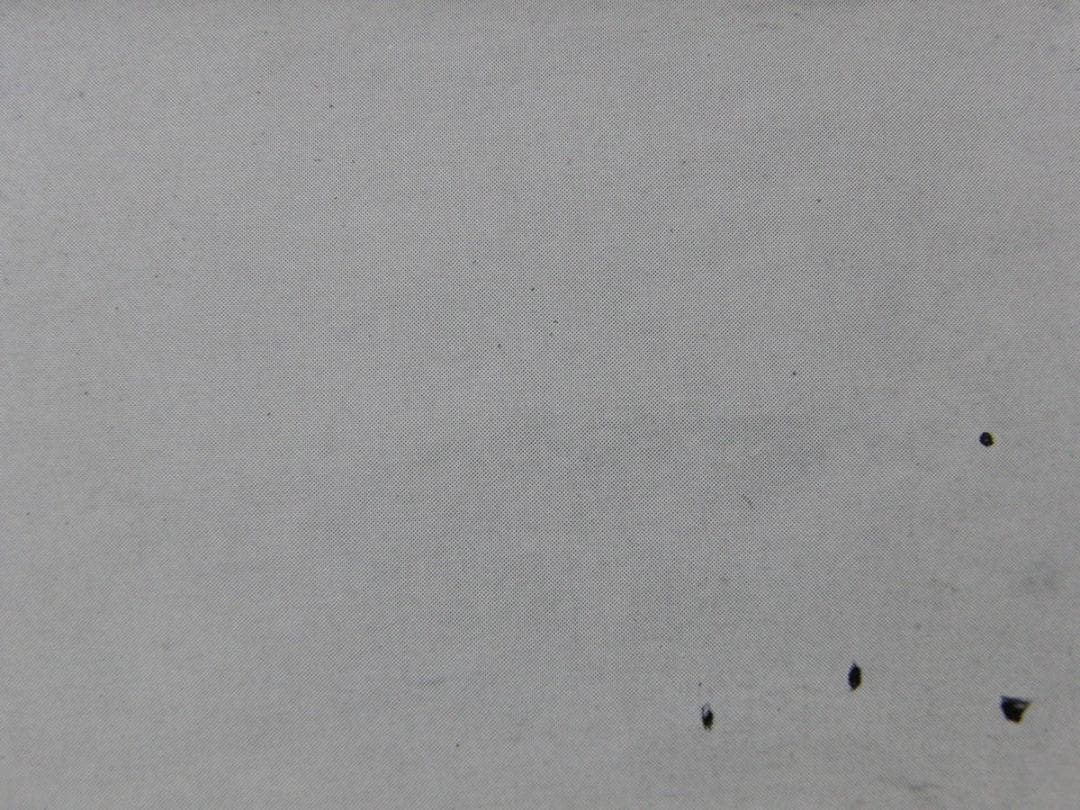 香月泰男、【雀】、希少な額装用画集より、新品額装付、状態良好