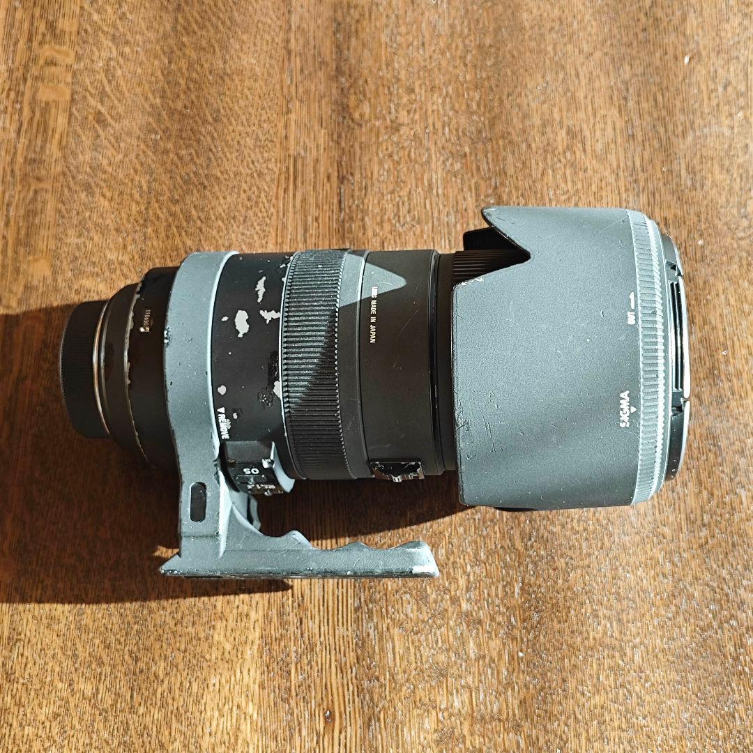 SIGMA 50-500mm F4-6.3 APO EX DG HSM ニコン用