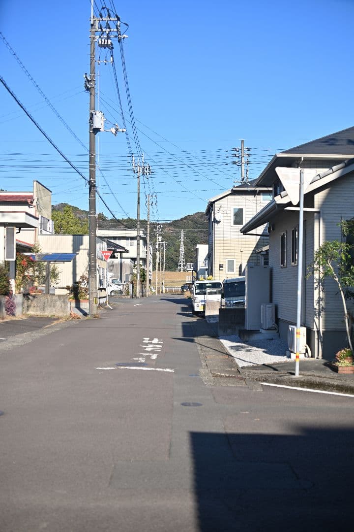 SIGMA 50-500mm F4-6.3 APO EX DG HSM ニコン用
