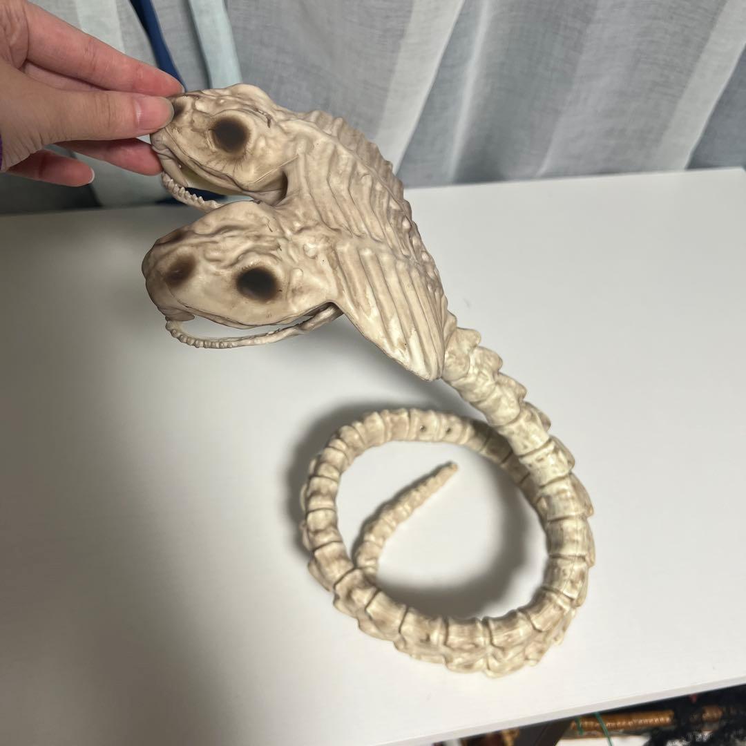 双頭 コブラ 骨格標本 骨 フィギュア ハロウィン