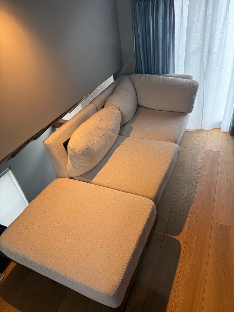 【shandorai】ジャーナルスタンダードソファ　2点セット