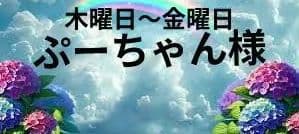 ぷーちゃん様　木曜日