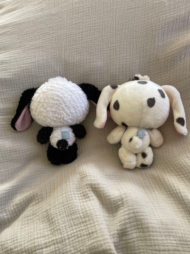 シュガーバニーズ　パンダ　ぶち