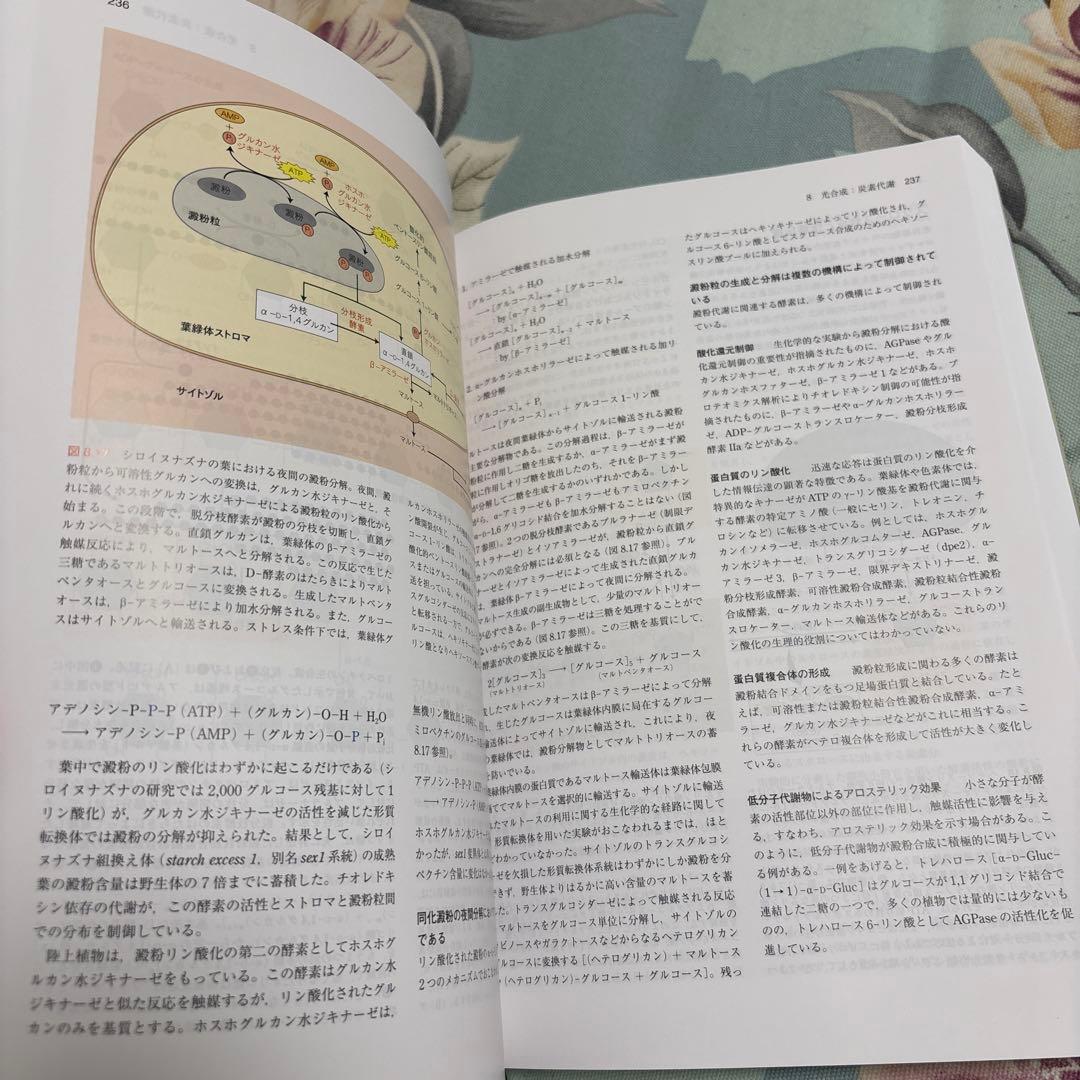 【新品未使用、美品】テイツ/ザイガー 植物生理学・発生学　テイツザイガー