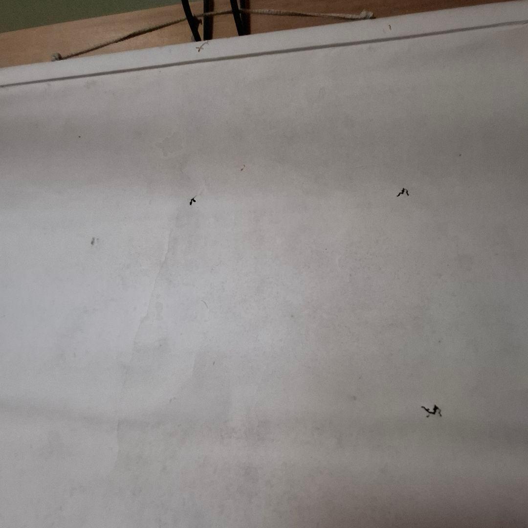 【書画・掛け軸】「恒遠醒窓」／江戸時代末期／求溪五士 作／共箱付／骨董・古美術品