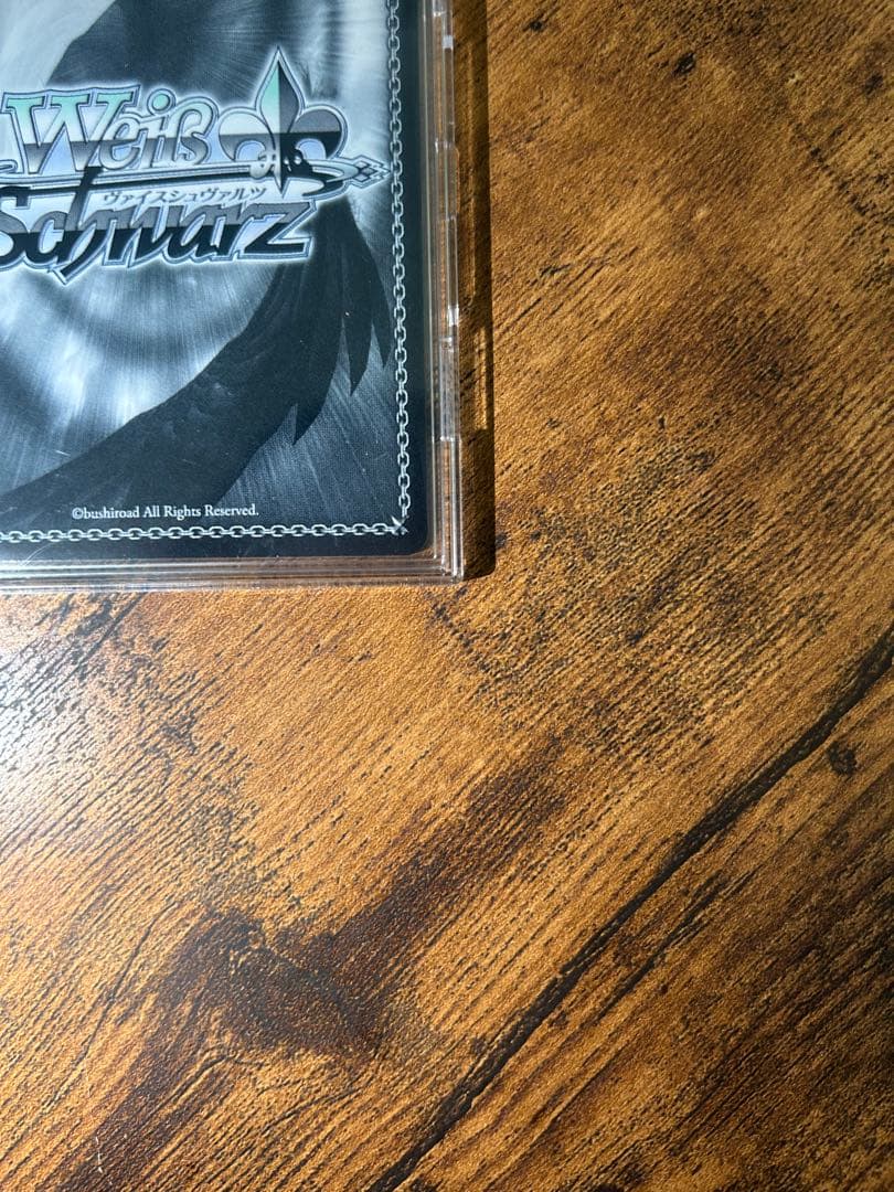 【NO.n0番】まだ上がりませんように！ SIR