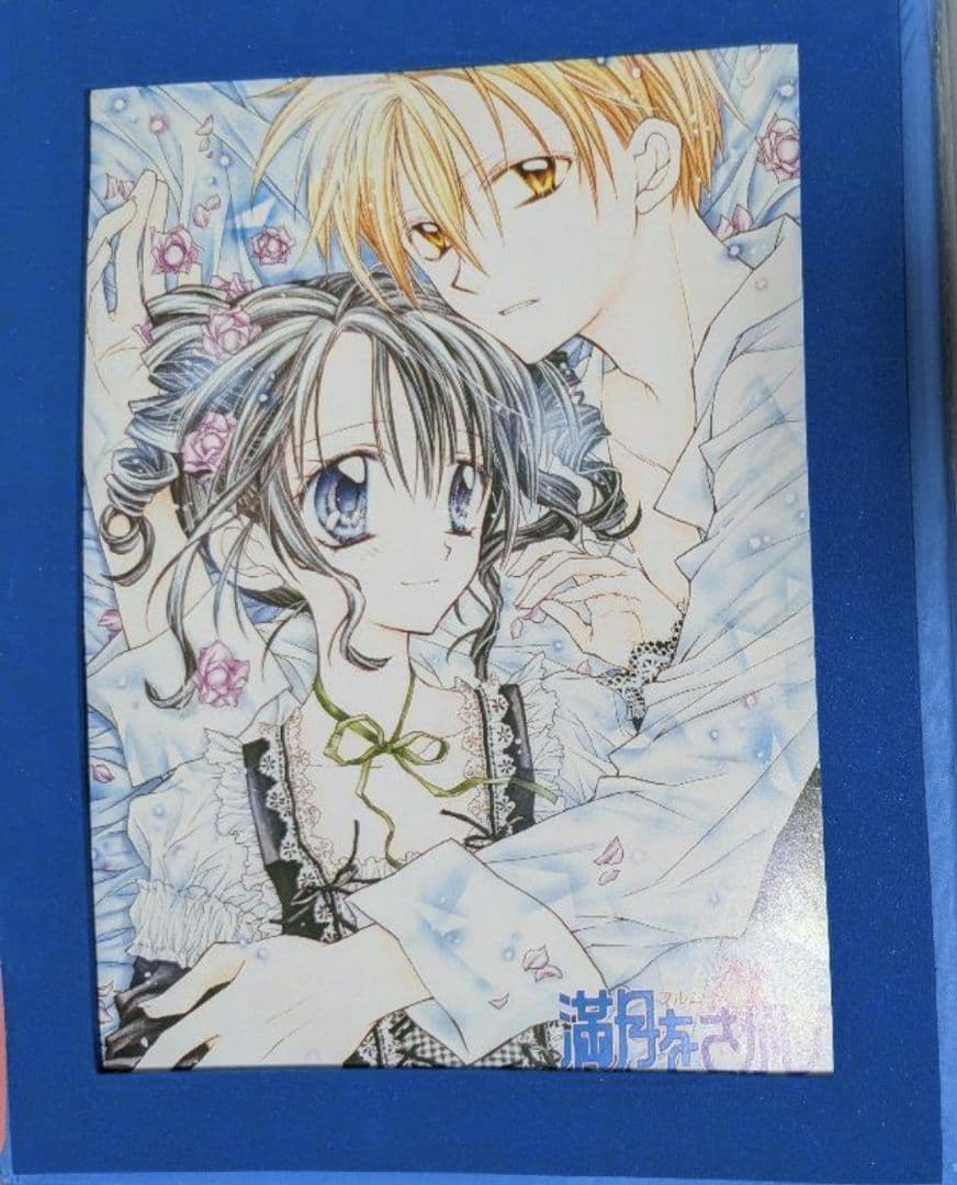 種村有菜 りぼん キャラクターカードコレクション バインダー カードファイル