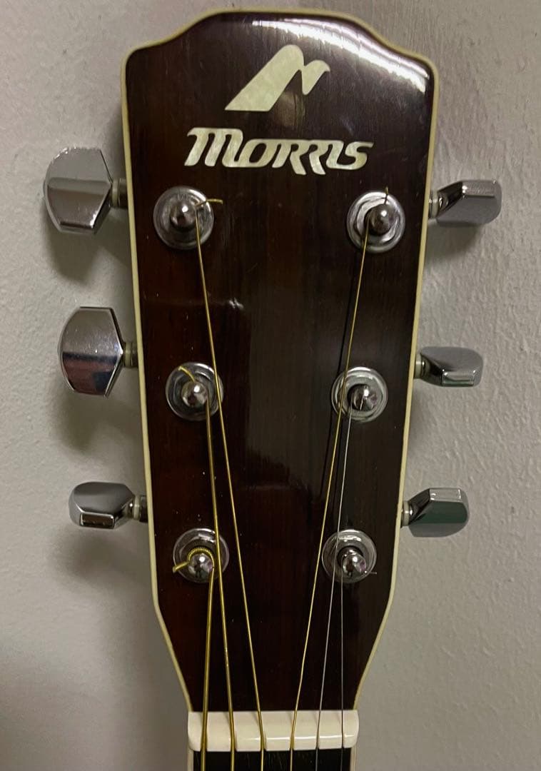 極鳴り❗️MORRIS MF601❗️希少材ハカランダアコギ❗️