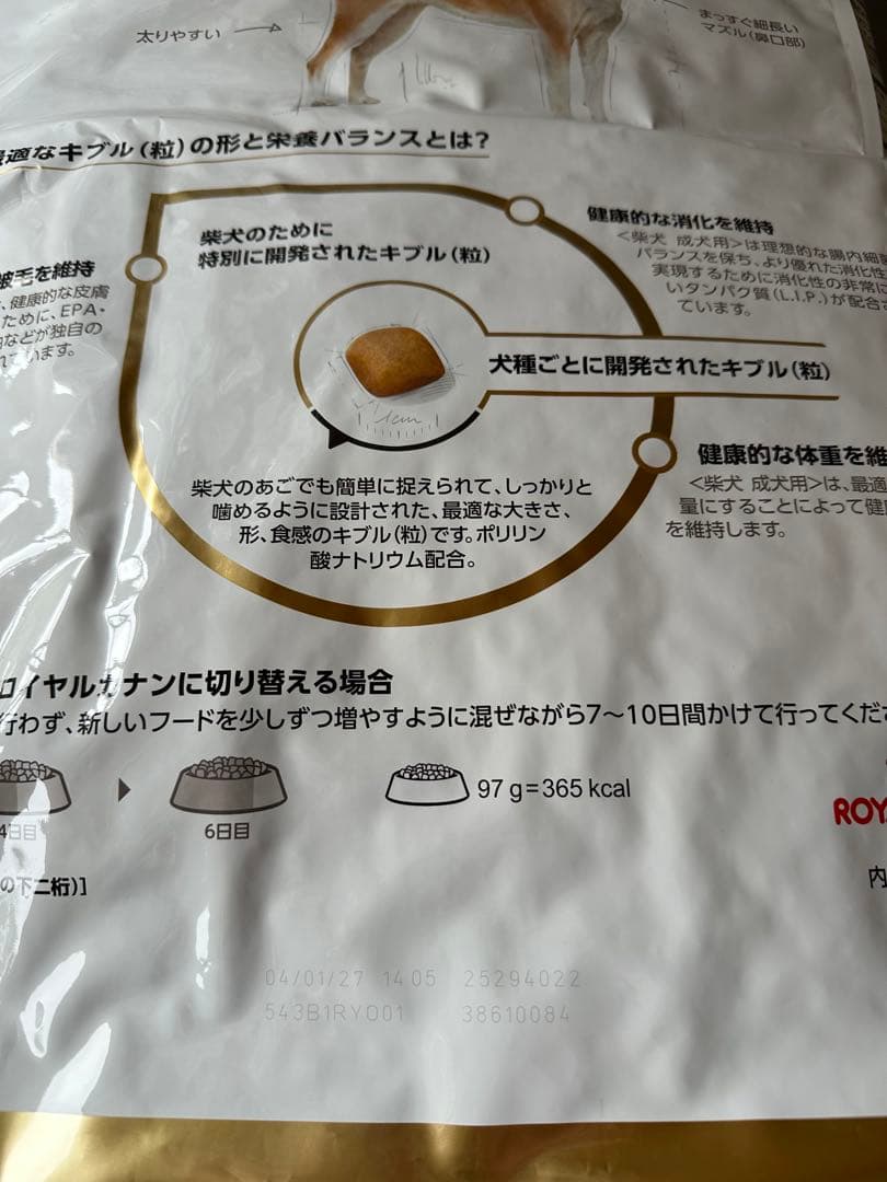 ロイヤルカナン 柴犬 成犬用 8kg×2袋セット