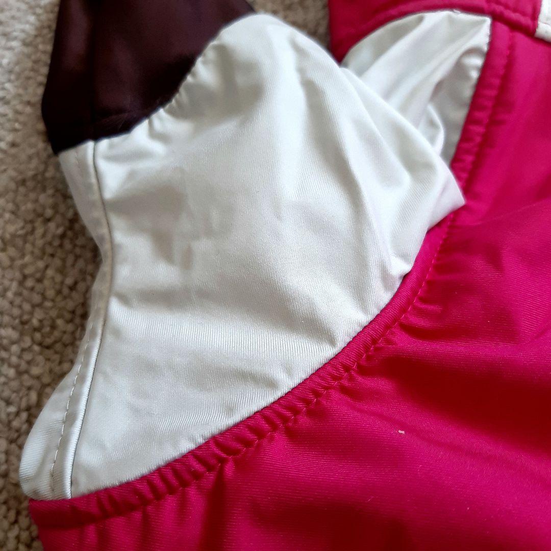 ALPHAICON スノードッグガード MSサイズ