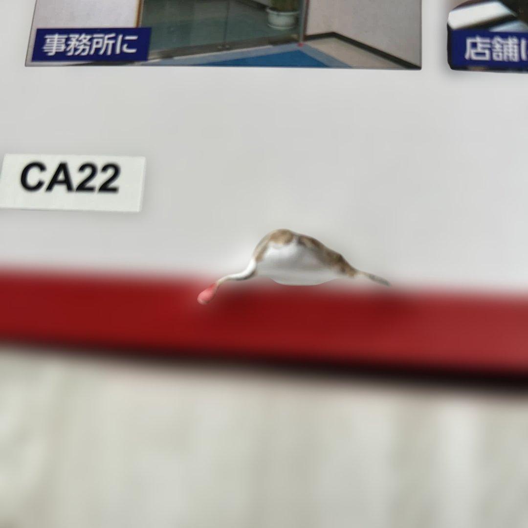 ELPA CMS-7110 ワイヤレスカメラ&モニター