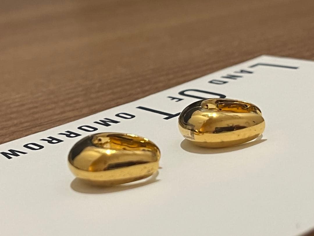 TOMWOOD Ice Hoop ピアス