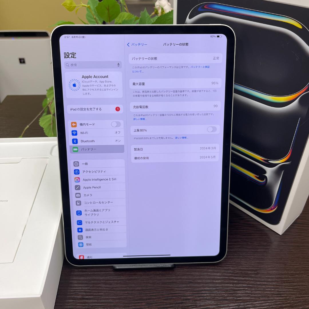 iPad Pro M4 チップ WiFi 2024モデル 送料無料