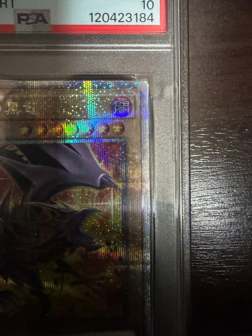 遊戯王 真紅眼の黒竜 25th イラスト違い PSA10