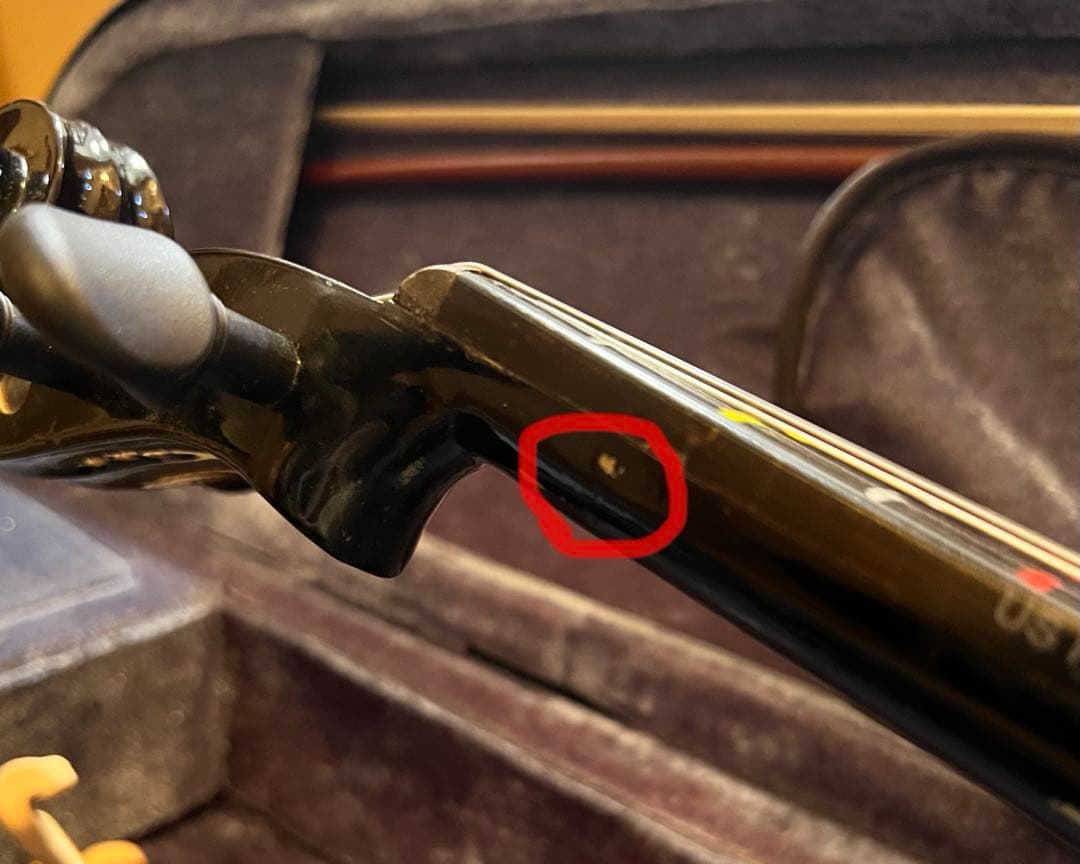 エレキヴァイオリン　Carlo Giordano 始めやすいセット販売！