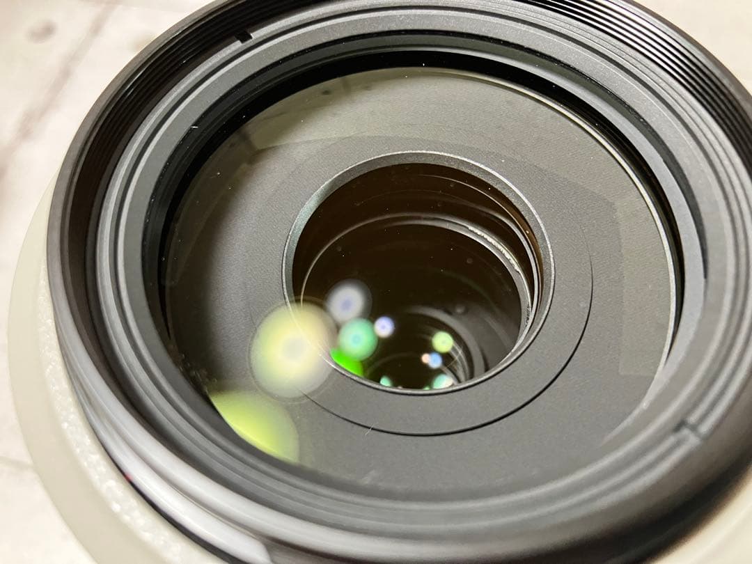 Canon EF 70-300mm f/4-5.6L IS USM フード付美品