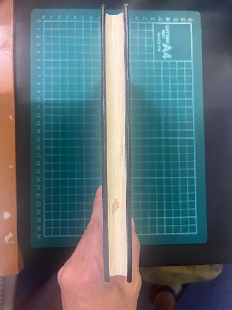 未来への発想法 政木和三著